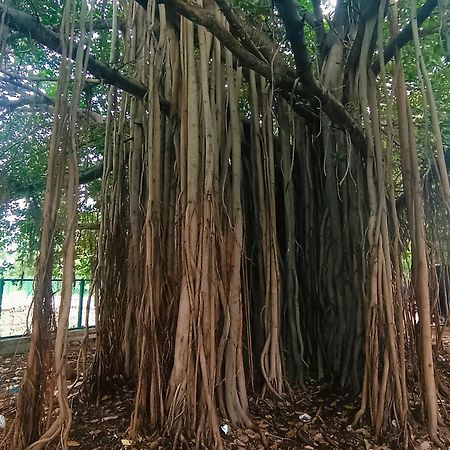 Hampi Anjana Home Stay מראה חיצוני תמונה