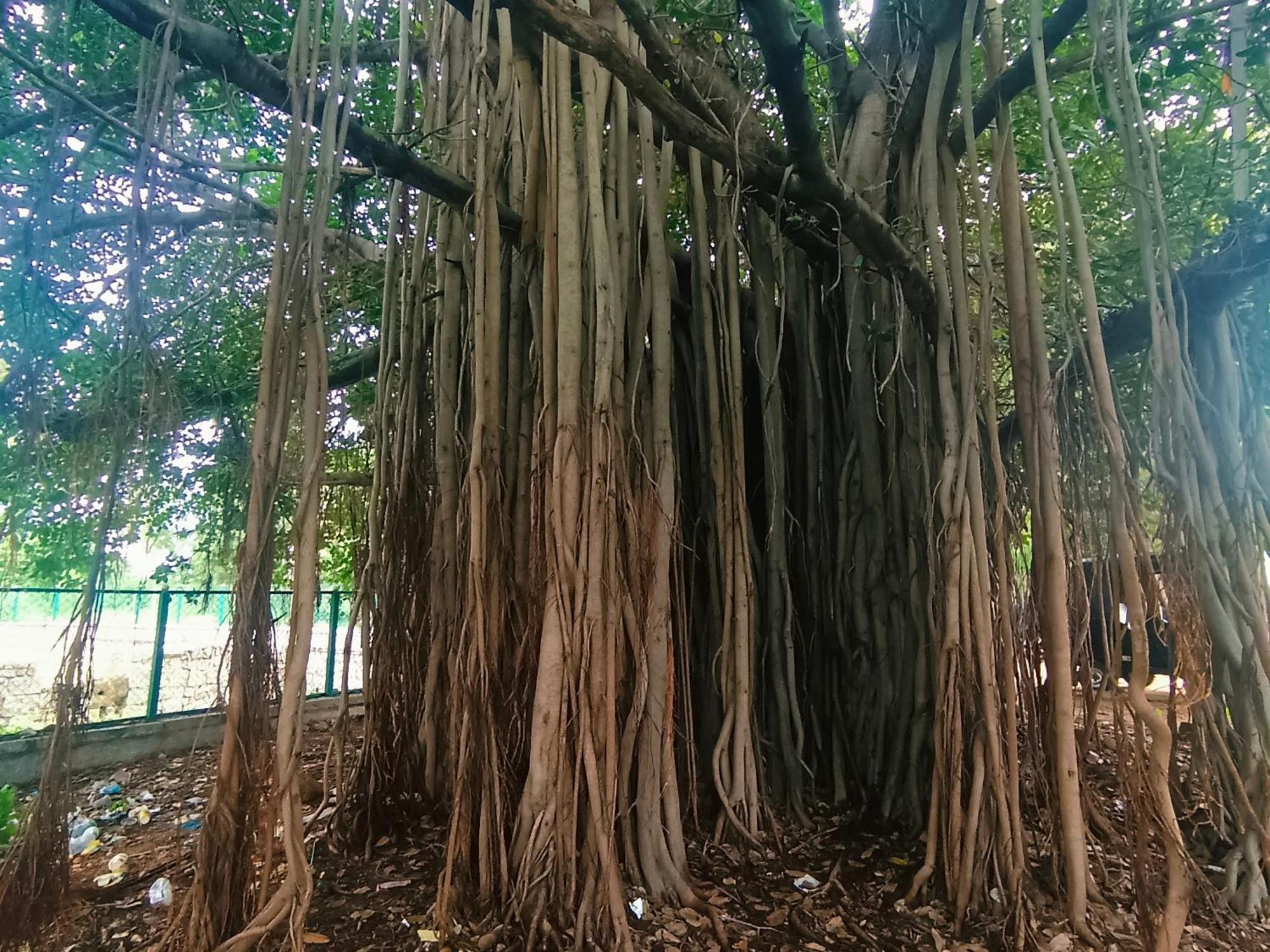 Hampi Anjana Home Stay מראה חיצוני תמונה